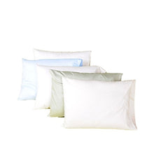 Load image into Gallery viewer, Organic Buckwheat Pillows with Zipper
