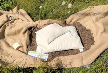 Load image into Gallery viewer, Organic Buckwheat Pillows with Zipper
