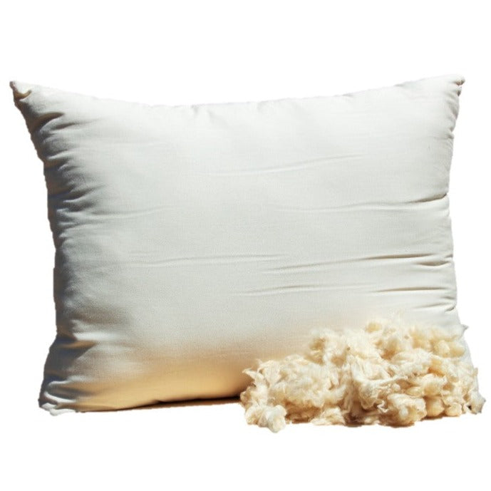 Organic Case Kapok Pillow
